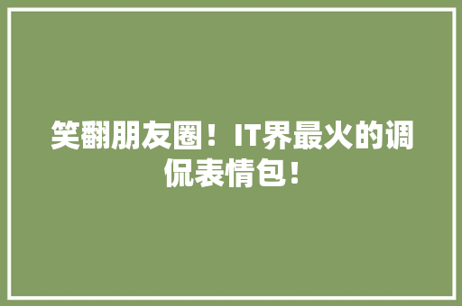 笑翻朋友圈！IT界最火的调侃表情包！ 必应SEO