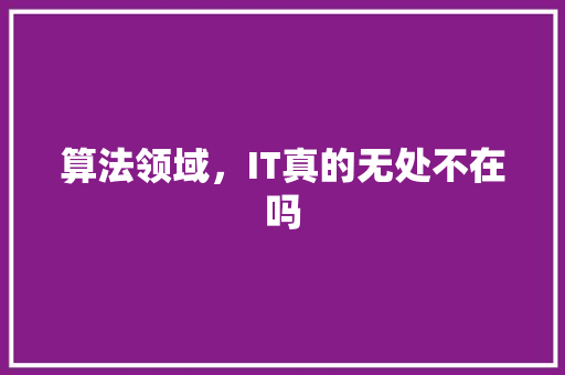 算法领域，IT真的无处不在吗 神马SEO