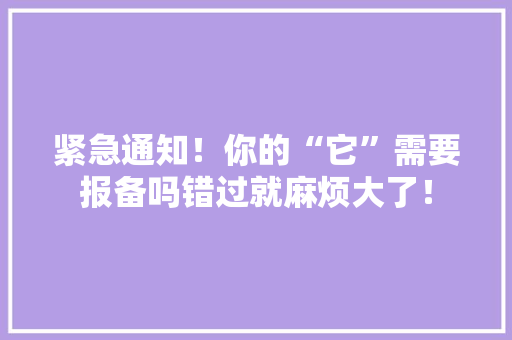 紧急通知！你的“它”需要报备吗错过就麻烦大了！ 必应SEO