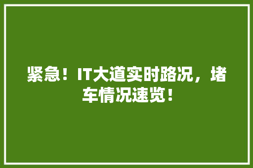紧急！IT大道实时路况，堵车情况速览！ 神马SEO