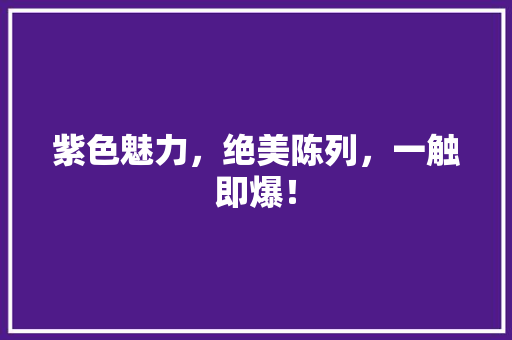 紫色魅力，绝美陈列，一触即爆！ GoogleSEO
