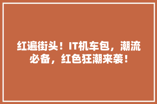 红遍街头！IT机车包，潮流必备，红色狂潮来袭！ 百度SEO