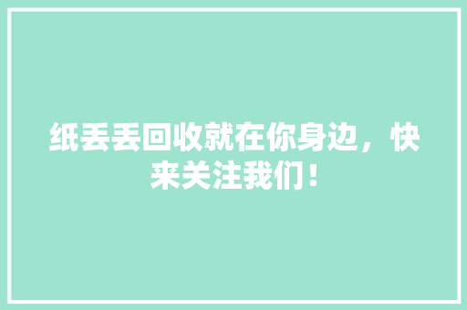 纸丢丢回收就在你身边，快来关注我们！ GoogleSEO