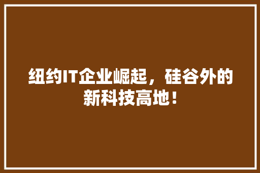 纽约IT企业崛起，硅谷外的新科技高地！ GoogleSEO