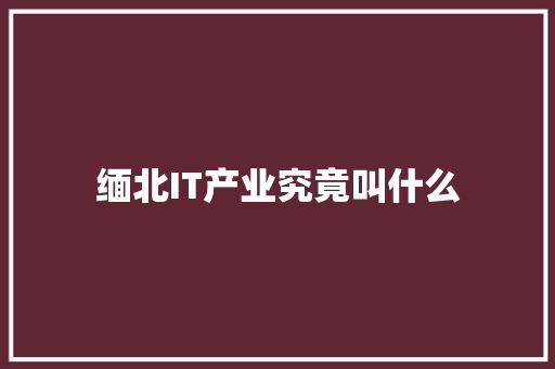 缅北IT产业究竟叫什么 神马SEO
