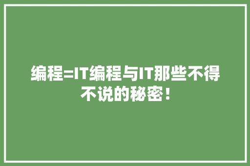编程=IT编程与IT那些不得不说的秘密！ 百度SEO