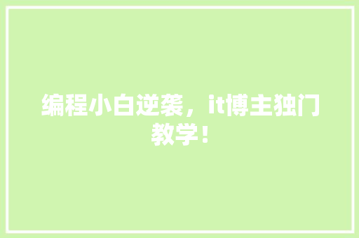 编程小白逆袭，it博主独门教学！ GoogleSEO