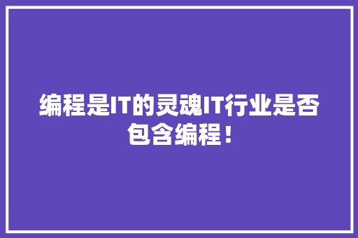 编程是IT的灵魂IT行业是否包含编程！ GoogleSEO