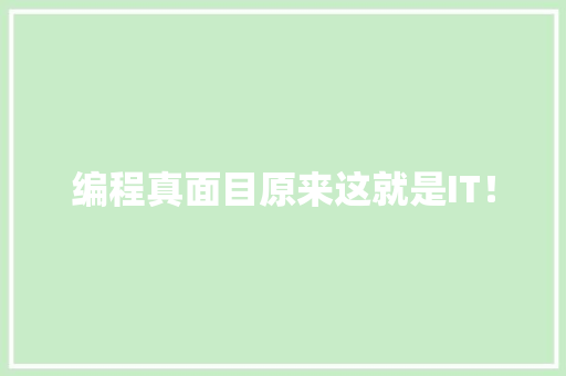 编程真面目原来这就是IT！ 神马SEO