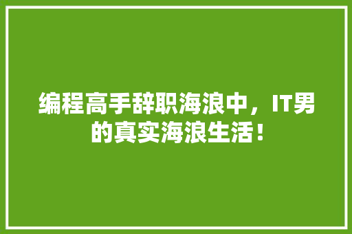 编程高手辞职海浪中，IT男的真实海浪生活！ 神马SEO