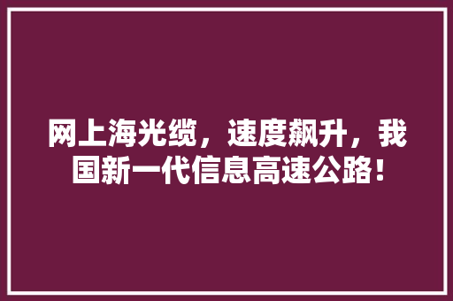 网上海光缆，速度飙升，我国新一代信息高速公路！ 必应SEO