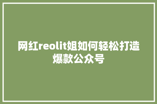 网红reolit姐如何轻松打造爆款公众号 百度SEO