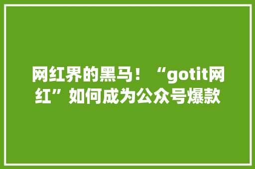 网红界的黑马！“gotit网红”如何成为公众号爆款 搜狗SEO