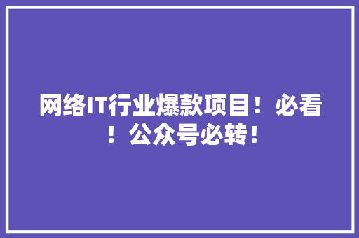 网络IT行业爆款项目！必看！公众号必转！ 必应SEO