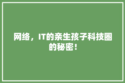 网络，IT的亲生孩子科技圈的秘密！ 百度SEO