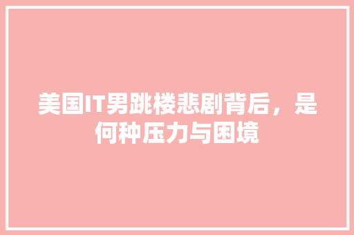 美国IT男跳楼悲剧背后，是何种压力与困境 神马SEO