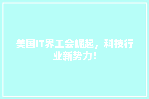美国IT界工会崛起，科技行业新势力！ GoogleSEO