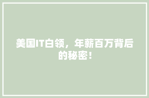 美国IT白领，年薪百万背后的秘密！ 百度SEO
