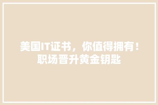 美国IT证书，你值得拥有！职场晋升黄金钥匙 神马SEO
