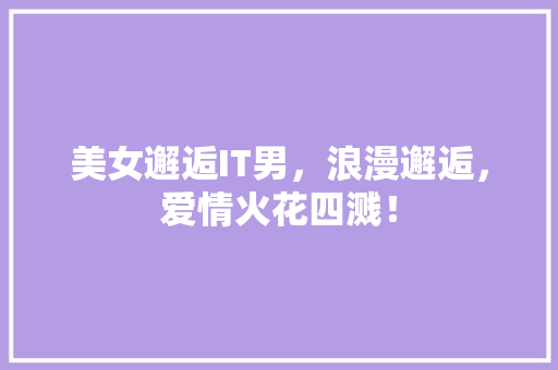 美女邂逅IT男，浪漫邂逅，爱情火花四溅！ 必应SEO