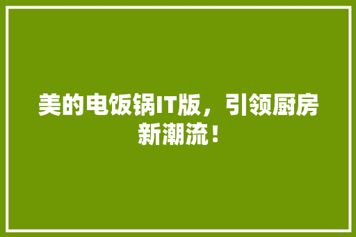 美的电饭锅IT版，引领厨房新潮流！ 神马SEO