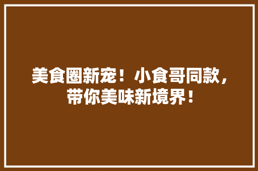 美食圈新宠！小食哥同款，带你美味新境界！ 神马SEO