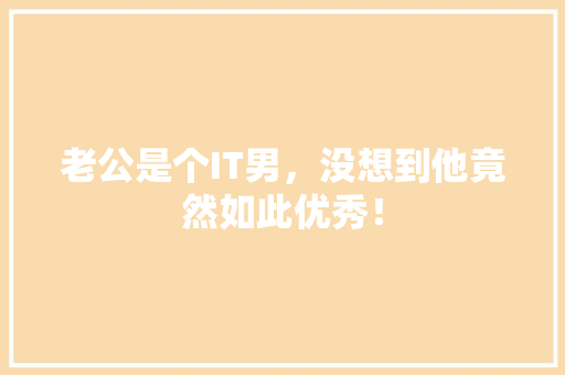 老公是个IT男，没想到他竟然如此优秀！ 搜狗SEO