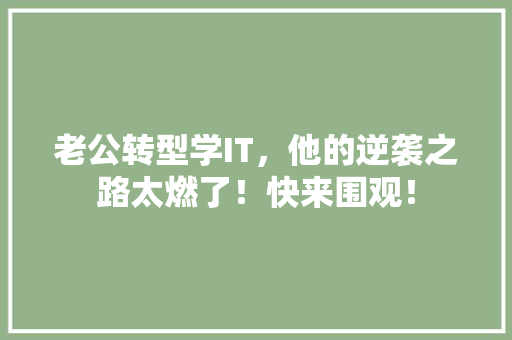 老公转型学IT，他的逆袭之路太燃了！快来围观！ 神马SEO
