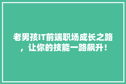 老男孩IT前端职场成长之路，让你的技能一路飙升！ 必应SEO