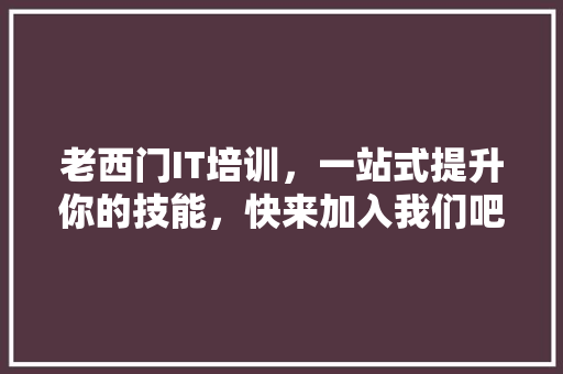 老西门IT培训，一站式提升你的技能，快来加入我们吧！ 百度SEO