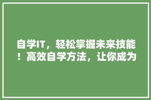 自学IT，轻松掌握未来技能！高效自学方法，让你成为技术达人 搜狗SEO