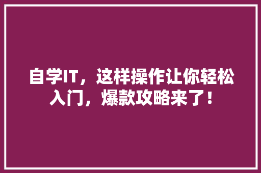 自学IT，这样操作让你轻松入门，爆款攻略来了！ 搜狗SEO