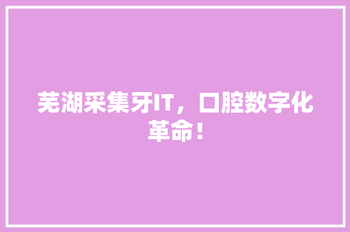 芜湖采集牙IT，口腔数字化革命！ 百度SEO
