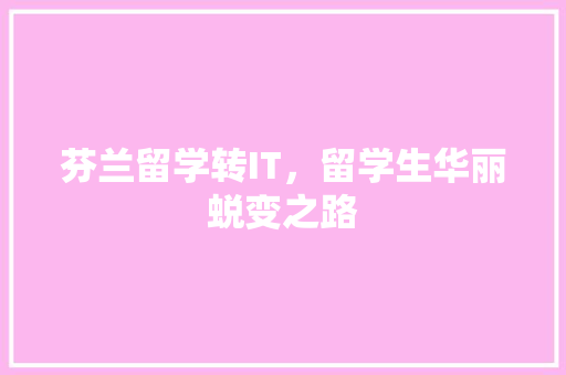 芬兰留学转IT，留学生华丽蜕变之路 GoogleSEO