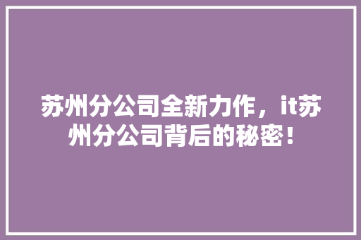 苏州分公司全新力作，it苏州分公司背后的秘密！ 必应SEO