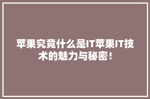 苹果究竟什么是IT苹果IT技术的魅力与秘密！ 百度SEO