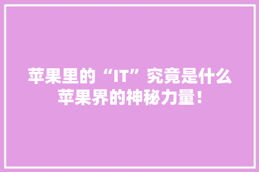 苹果里的“IT”究竟是什么苹果界的神秘力量！ 百度SEO