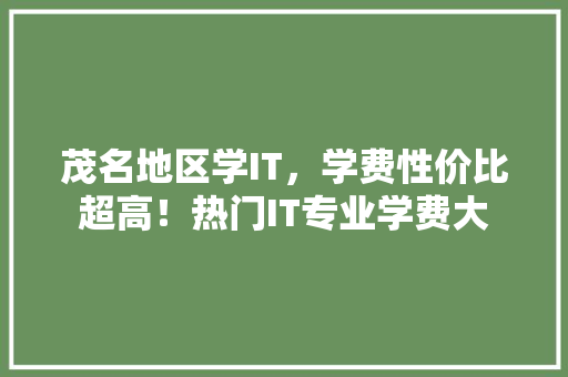 茂名地区学IT，学费性价比超高！热门IT专业学费大 必应SEO