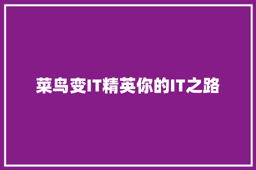 菜鸟变IT精英你的IT之路 神马SEO