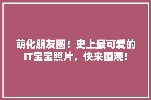 萌化朋友圈！史上最可爱的IT宝宝照片，快来围观！ GoogleSEO