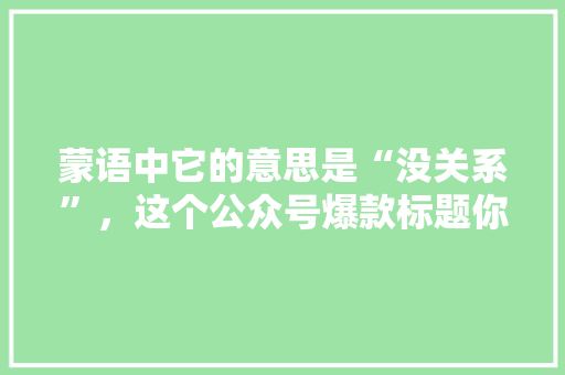 蒙语中它的意思是“没关系”，这个公众号爆款标题你一定要看！ 神马SEO