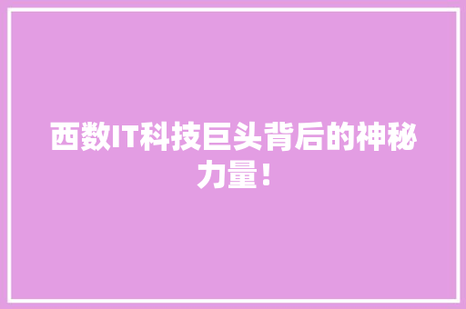 西数IT科技巨头背后的神秘力量！ 百度SEO