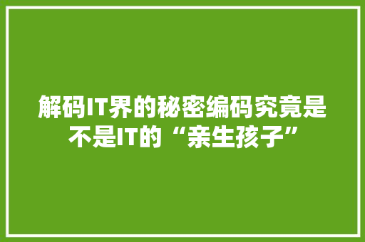 解码IT界的秘密编码究竟是不是IT的“亲生孩子” GoogleSEO