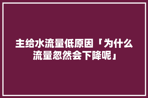 主给水流量低原因「为什么流量忽然会下降呢」 主给水流量低原因「为什么流量忽然会下降呢」 GoogleSEO