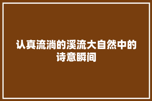 认真流淌的溪流大自然中的诗意瞬间 必应SEO