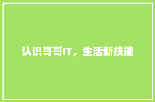 认识哥哥IT，生活新技能 GoogleSEO