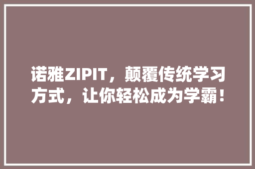 诺雅ZIPIT，颠覆传统学习方式，让你轻松成为学霸！ 必应SEO