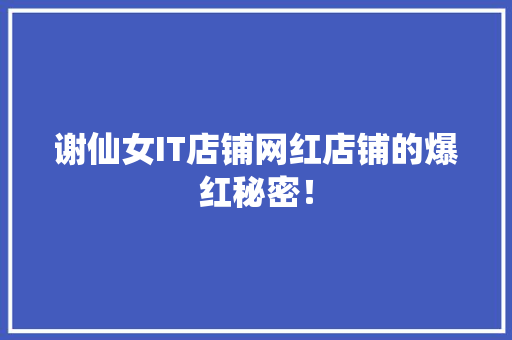 谢仙女IT店铺网红店铺的爆红秘密！ 必应SEO