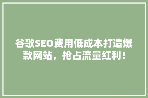 谷歌SEO费用低成本打造爆款网站，抢占流量红利！ 神马SEO