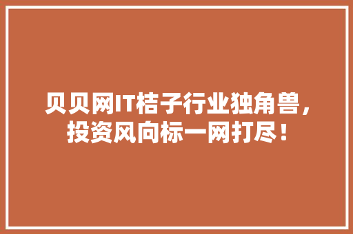贝贝网IT桔子行业独角兽，投资风向标一网打尽！ 搜狗SEO